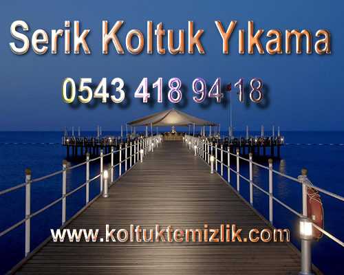 serik koltuk yıkama
